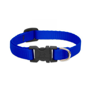 Lupine Blue Small Dog Collar 8-12" 1
