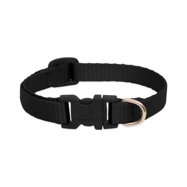 Lupine Black Large Dog Collar 12-20" 1