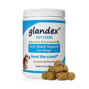 Glandex Anal Gland Support for Dogs 120 Chews 1