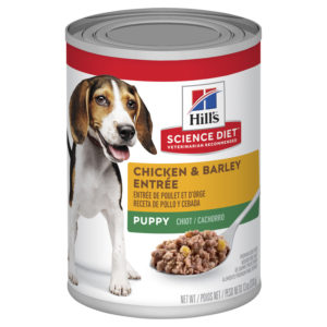 Hills Science Diet Puppy Chicken & Barley Entree 370g x 12 Cans