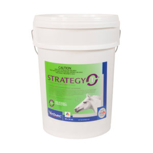 Strategy-T Stable Pail 35ml x 60 Syringes 1